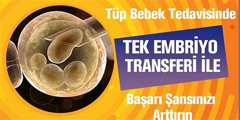 2 embriyo transferi ile hamile kalanlar